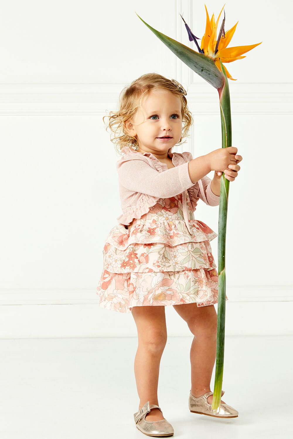 bardot clothing australia