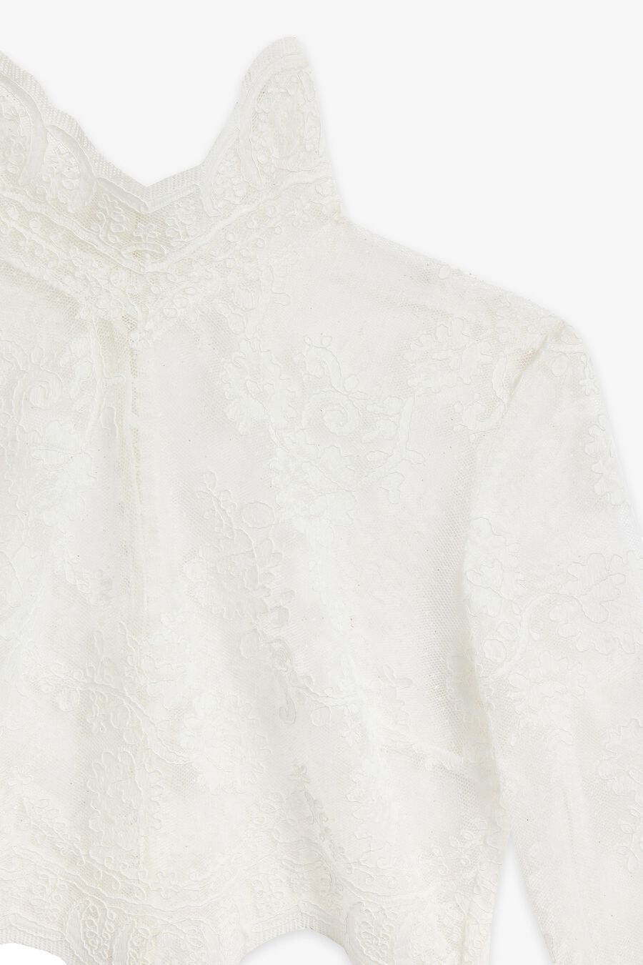 Grace Sheer Lace Top