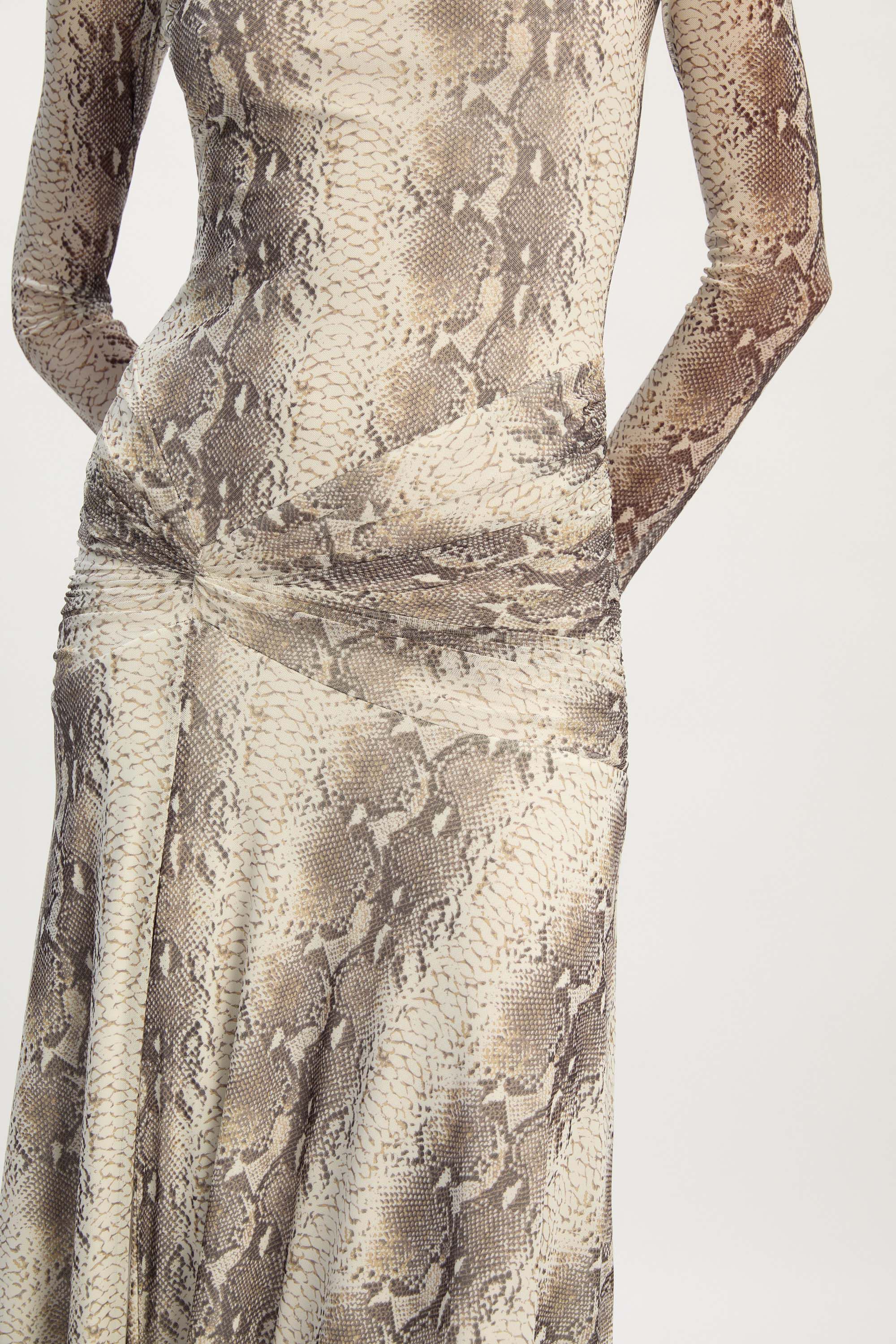 shape taupe snake print slinky ruched bardot midi dress Lea Printed Mesh Dress In Snake Skin
