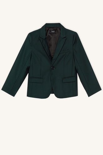 CLASSIC SUIT JACKET in colour SYCAMORE