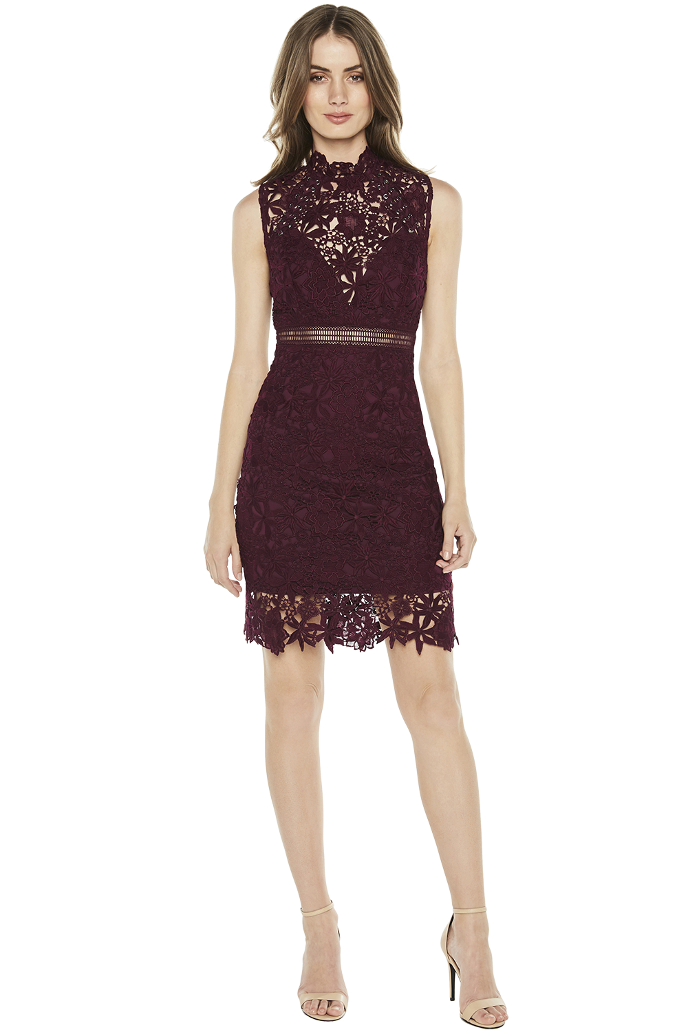 paris lace dress bardot