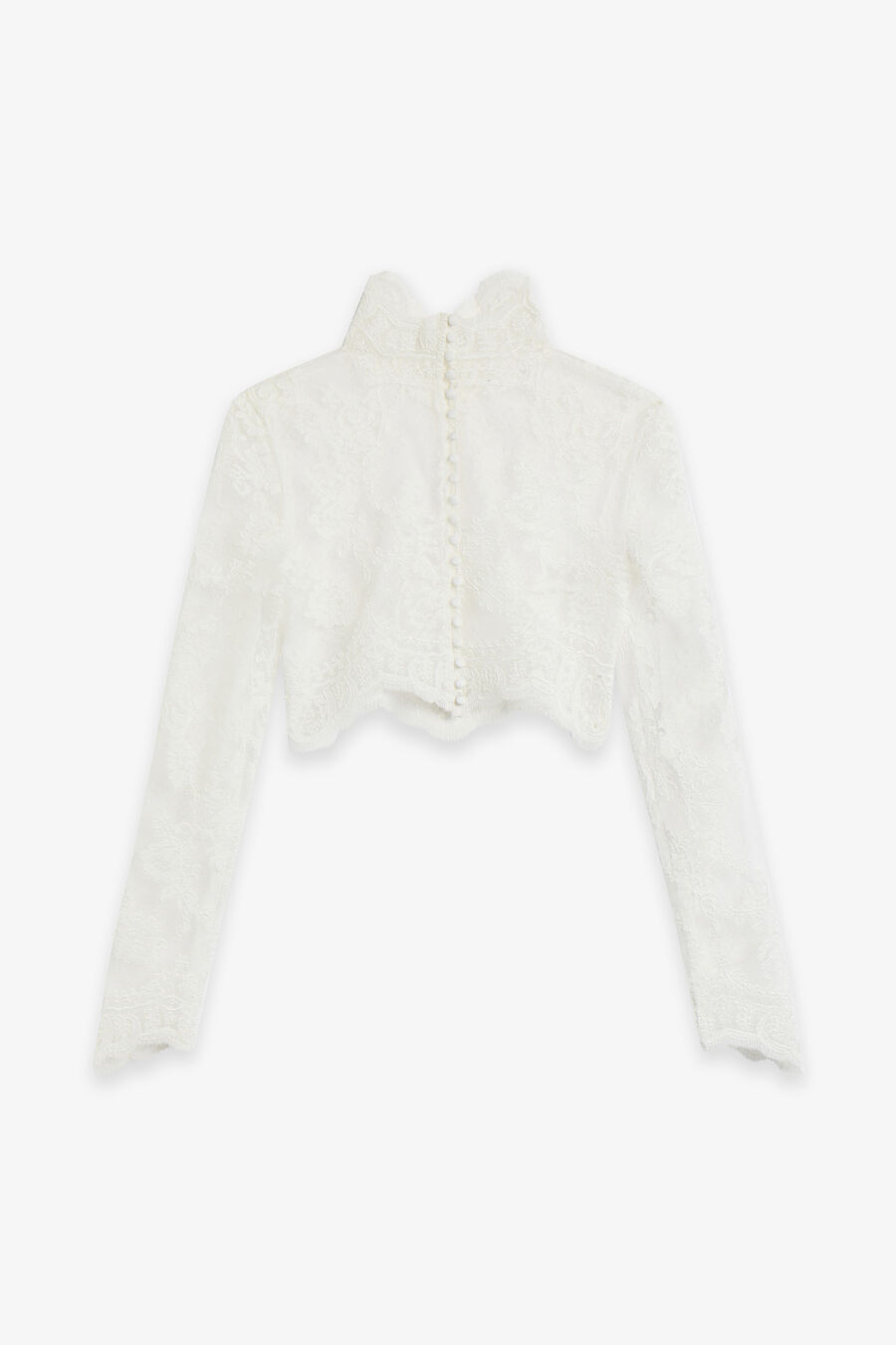 Grace Sheer Lace Top