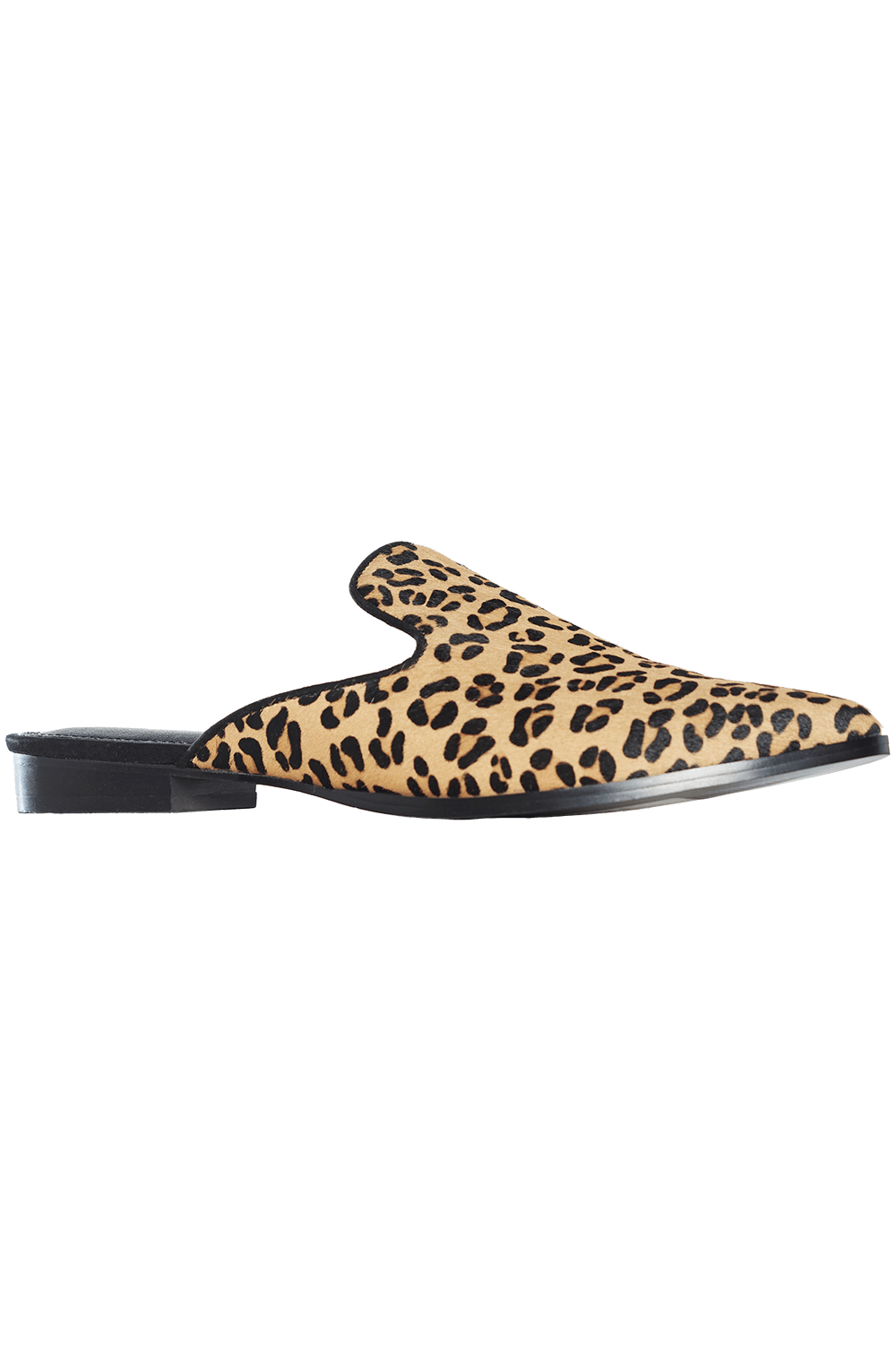 Leopard Slide in Black | Bardot