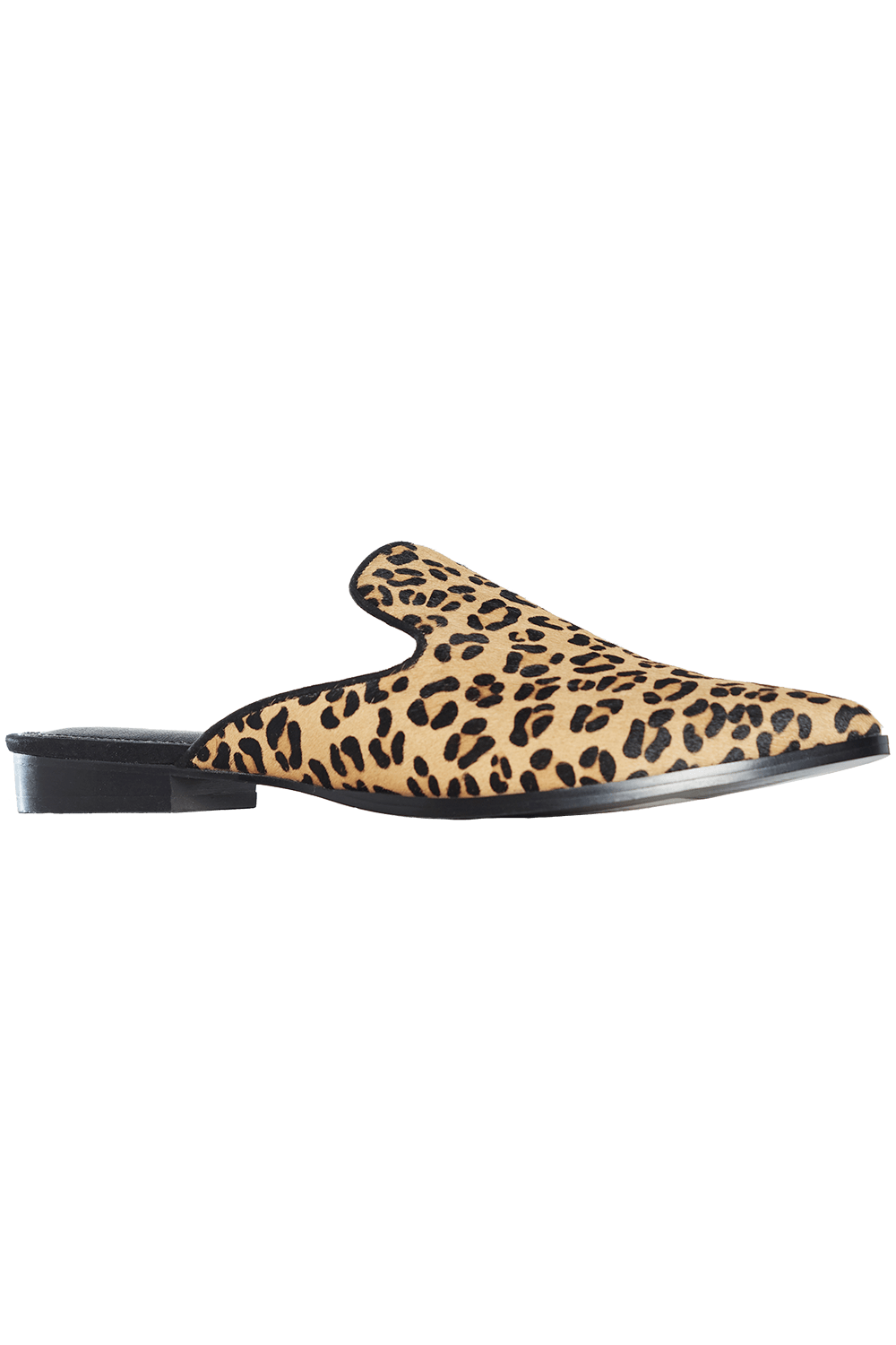 leopard slides