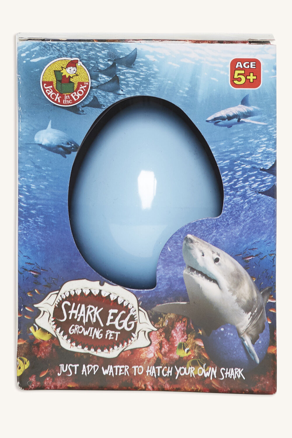 growing shark toy