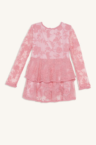 EMBER LACE DRESS in colour MORNING GLORY