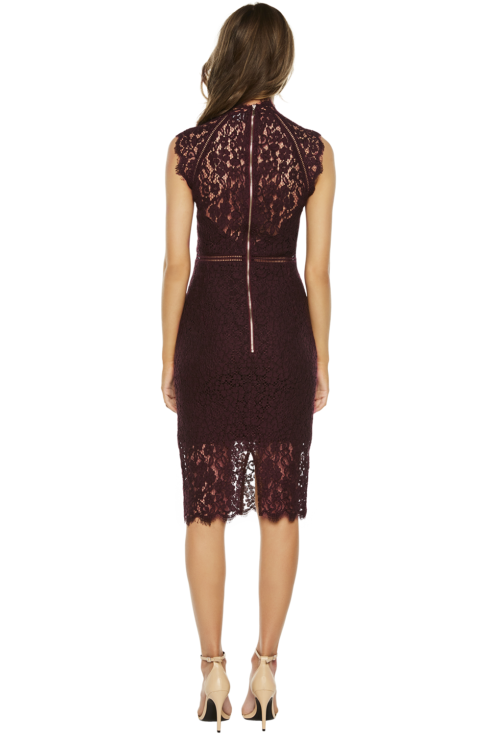bardot lace panel dress