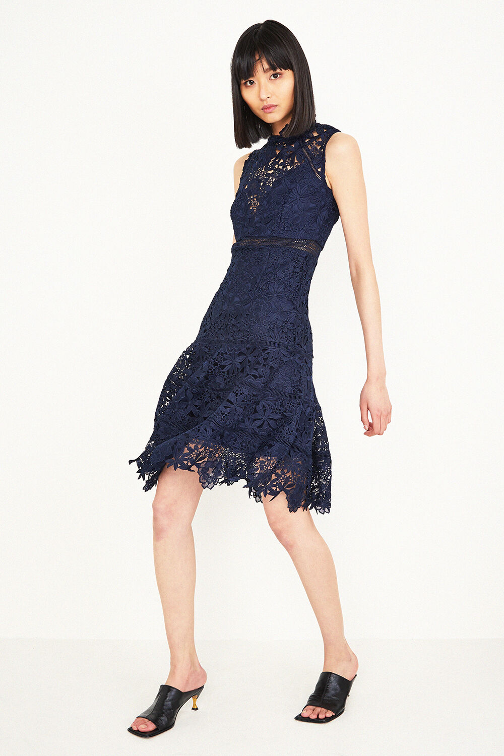 bardot elise lace cocktail dress