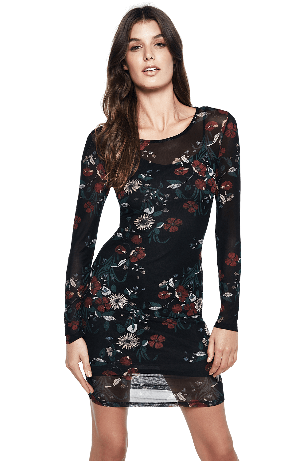 bardot embroidered mesh dress