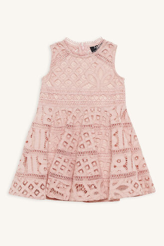 ELISE LACE DRESS in colour MISTY ROSE