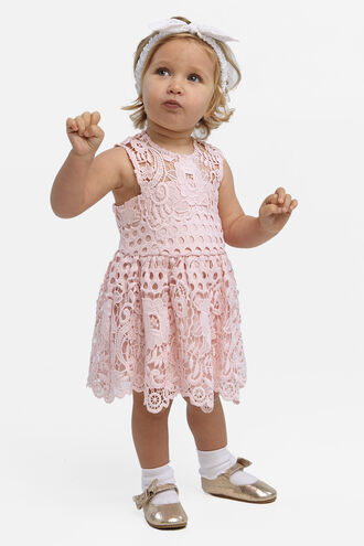 PERRY LACE DRESS in colour POTPOURRI