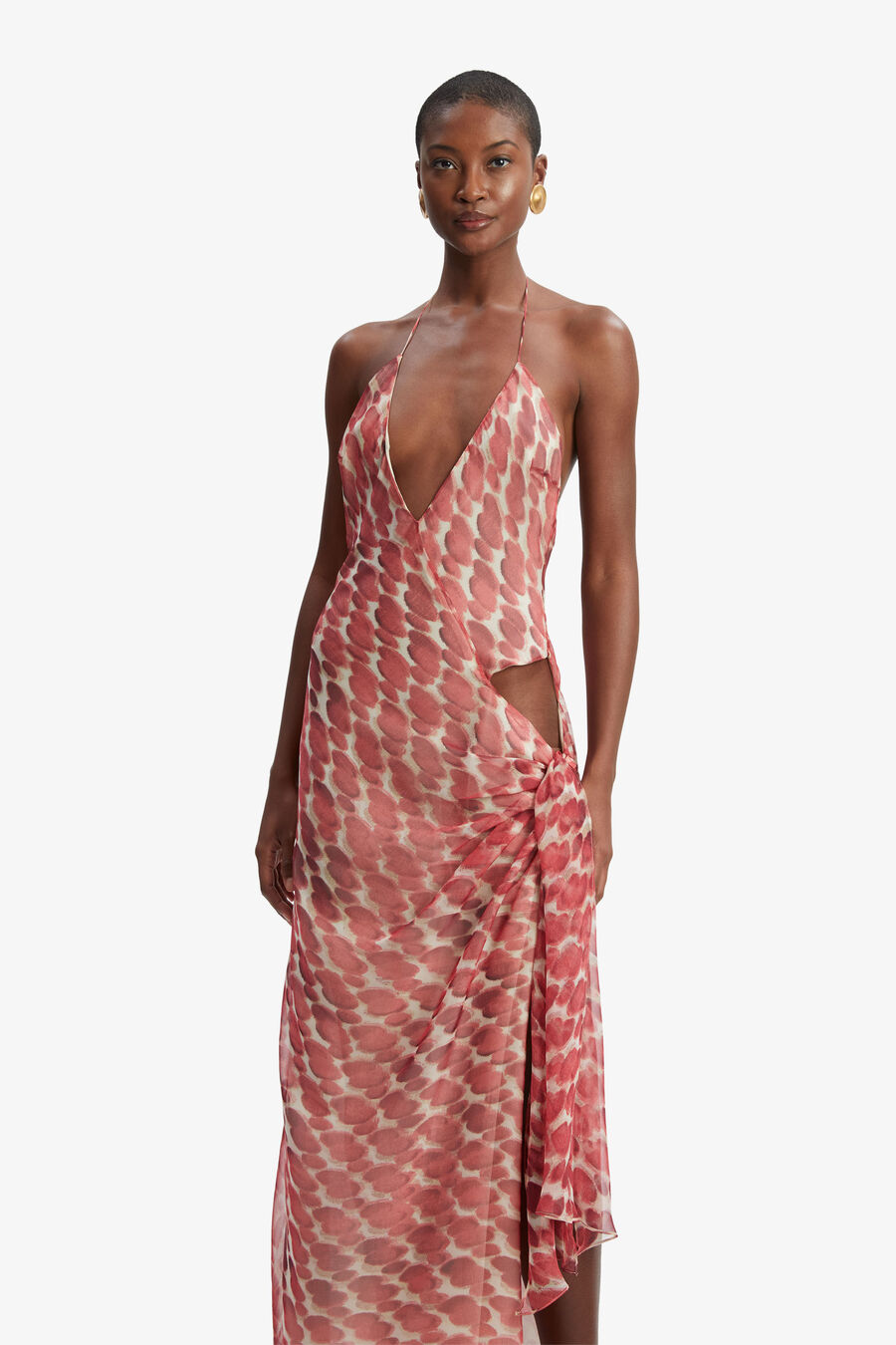 Cyrel Printed Maxi Dress