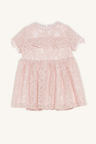 MILLY LACE DRESS in colour PRIMROSE PINK
