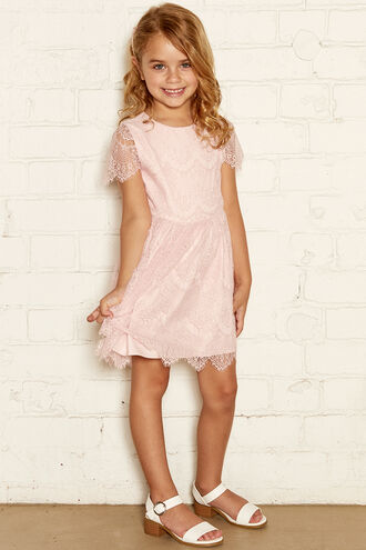 MARGOT LACE DRESS in colour POTPOURRI