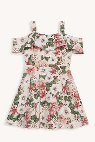 EBONY DRESS in colour SILVER PEONY