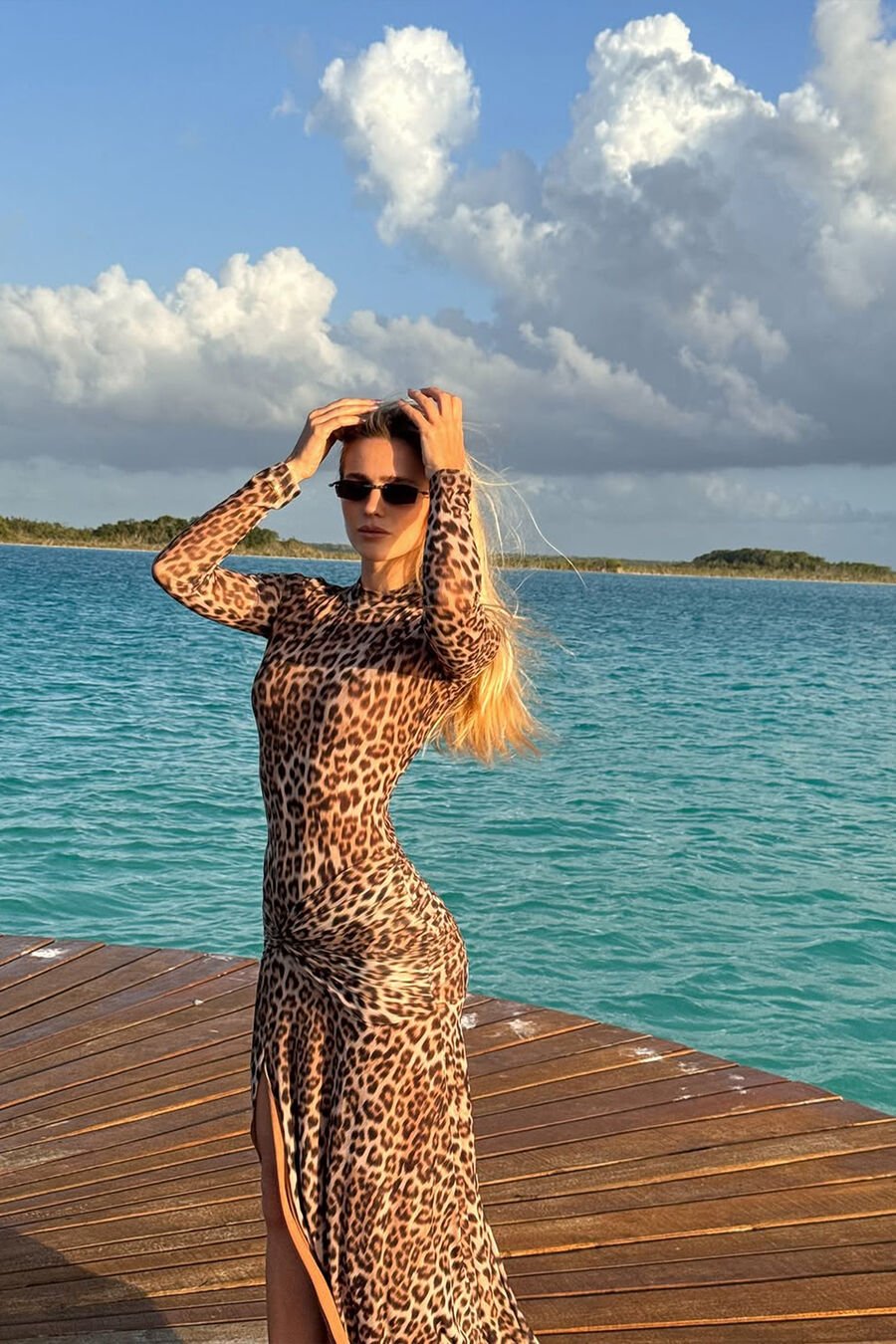 Lea Printed Mesh Midi Dress