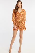 BAMBINA FRILL DRESS in colour GOLDEN OCHRE