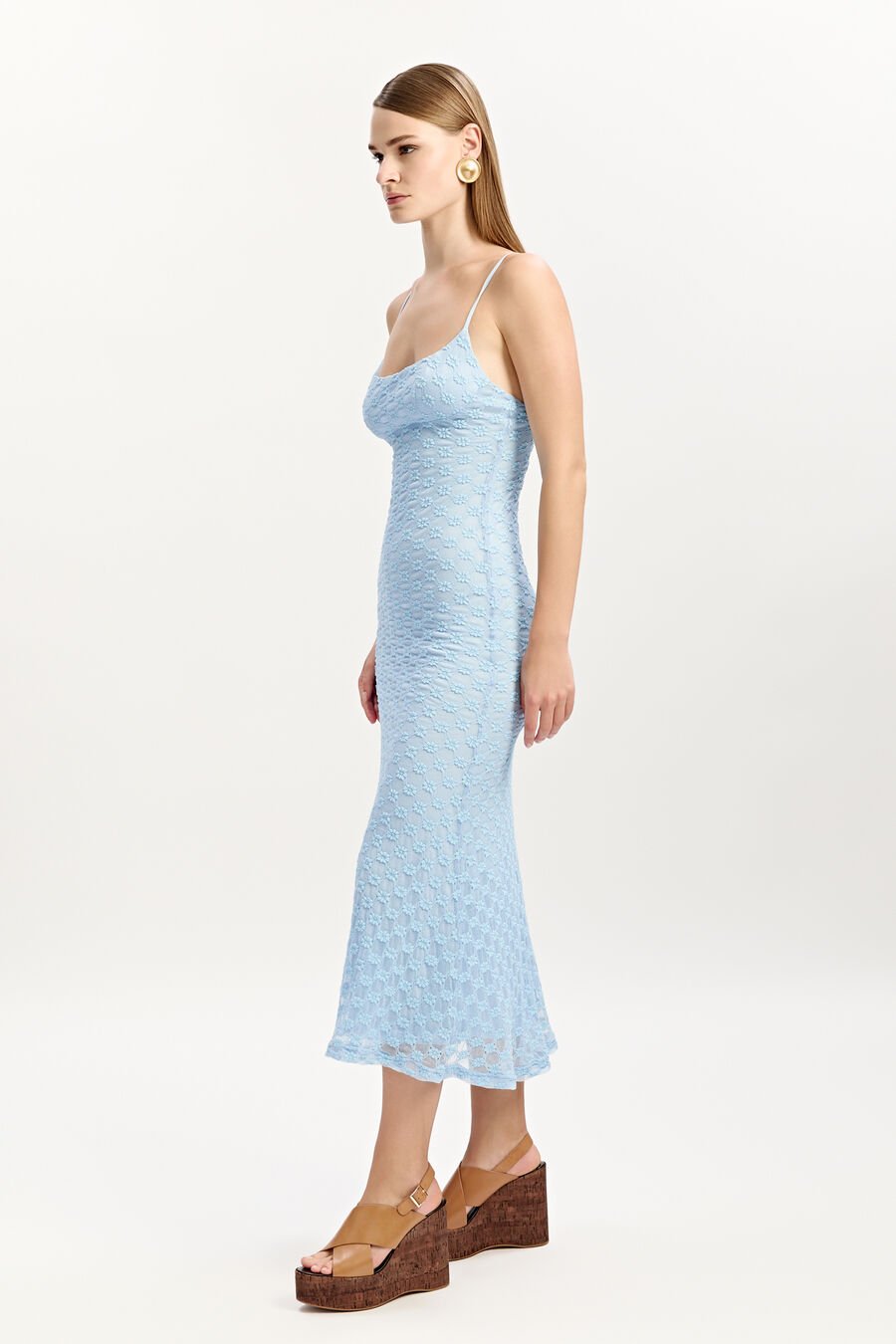 Adoni Mesh Midi Dress