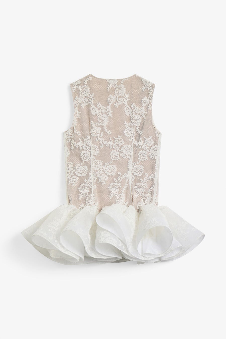 Fleurine Lace Mini Dress