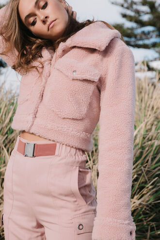 Pink Teddy in colour 