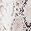 SNAKE SKIN