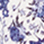 Select Colour: BLUE FLORL