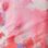 Select Colour: WILDFLOWER