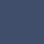 NAVY PINST